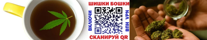 Canna-Cookies конопля Прокопьевск