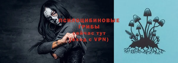 молекула духа Волосово