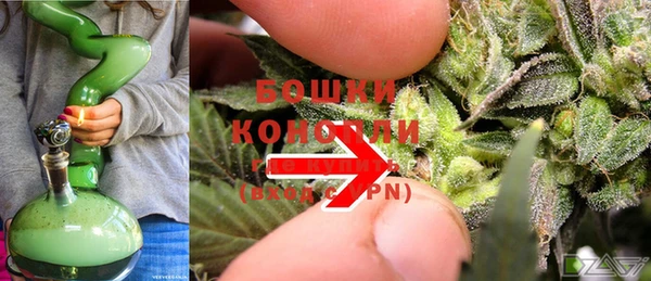 молекула духа Волосово