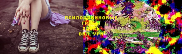 молекула духа Волосово