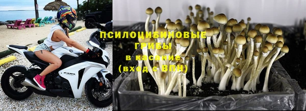 гидропоника Вязники