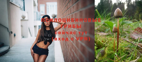 молекула духа Волосово