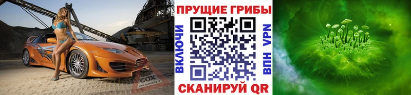 Галлюциногенные грибы Psilocybe Прокопьевск